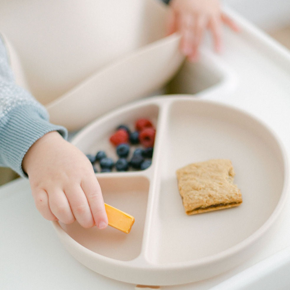 Silicone Plate | Silicone Suction Plate